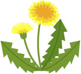 ۂ